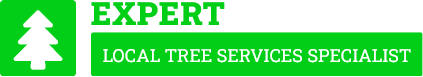Auckland Tree Removal - Tree Removal Auckland